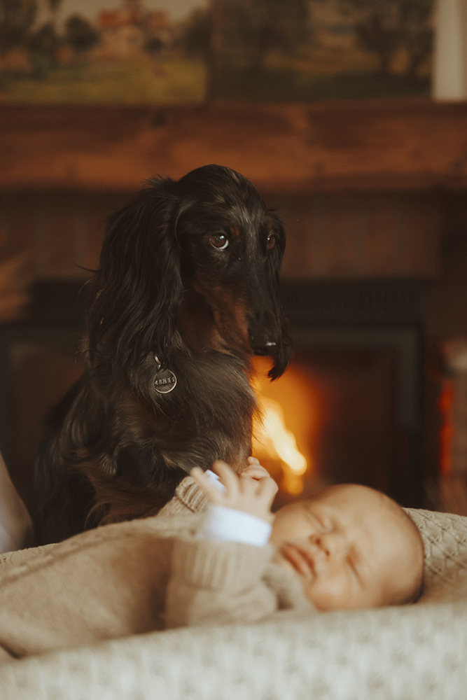 Photographe VS IA - Photographier la vie : ce que l’IA ne peut pas générer - Anne Gerzat Photographe