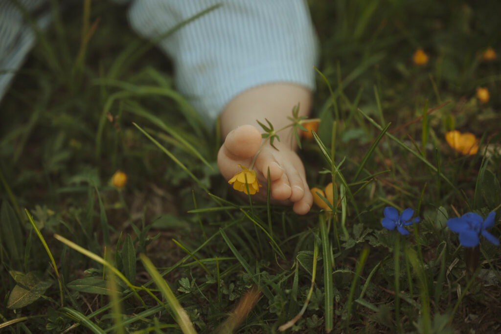 Une séance famille estivale en pleine nature, entre douceur et lumière matinale - Anne Gerzat Photographe